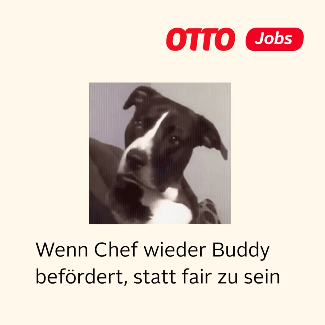 Employer Branding Otto – Benefit-Check Buddy