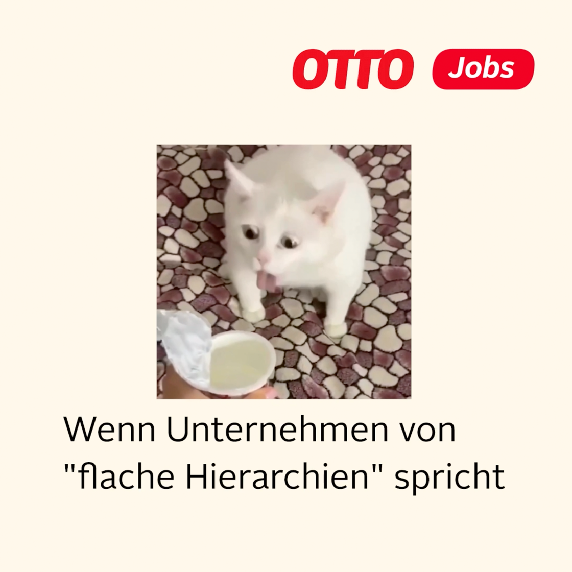 Employer Branding Otto – Benefit-Check Hierarchien